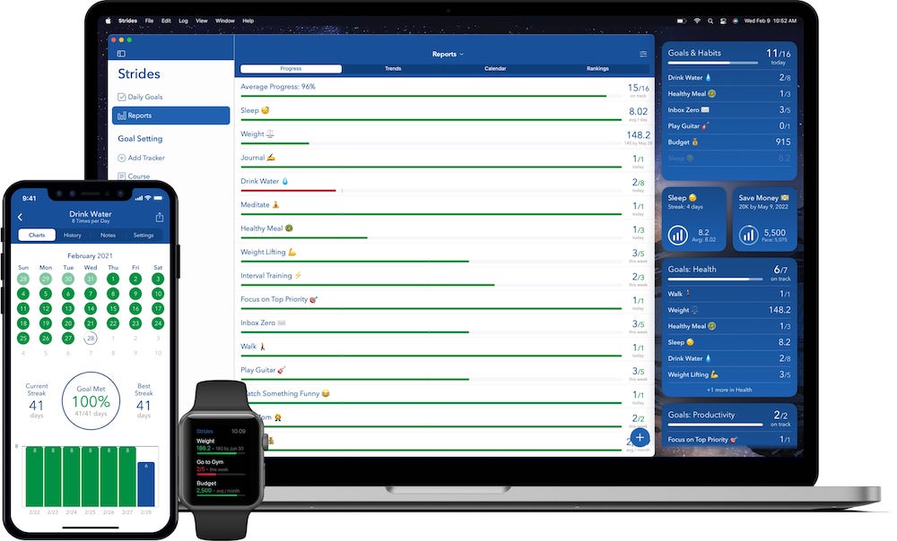 strides online goal tracker